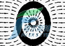 長方形池（長：寬＜1.5:1）